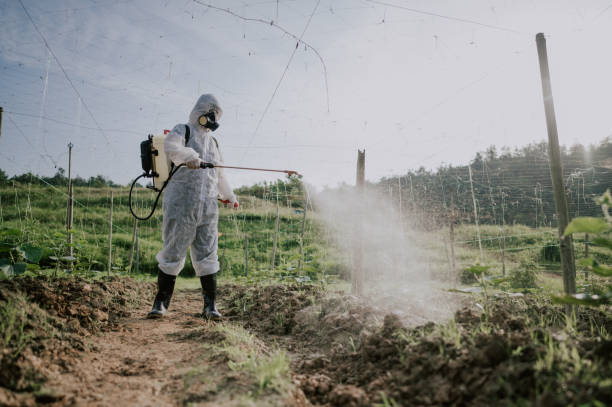 Best Pest Prevention Services  in Burke Centre, VA