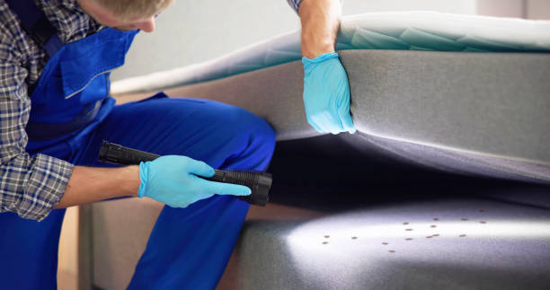 Trusted Burke Centre, VA Pest Control Experts