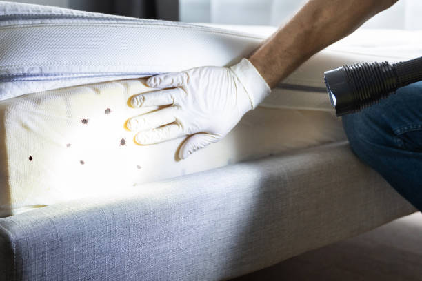 Best Pest Removal Services  in Burke Centre, VA